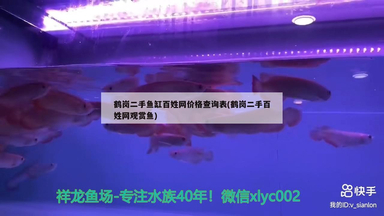 鶴崗二手魚(yú)缸百姓網(wǎng)價(jià)格查詢表(鶴崗二手百姓網(wǎng)觀賞魚(yú)) 鶴崗二手魚(yú)缸百姓網(wǎng)價(jià)格查詢表(鶴崗二手百姓網(wǎng)觀賞魚(yú)) 金龍魚(yú)百科