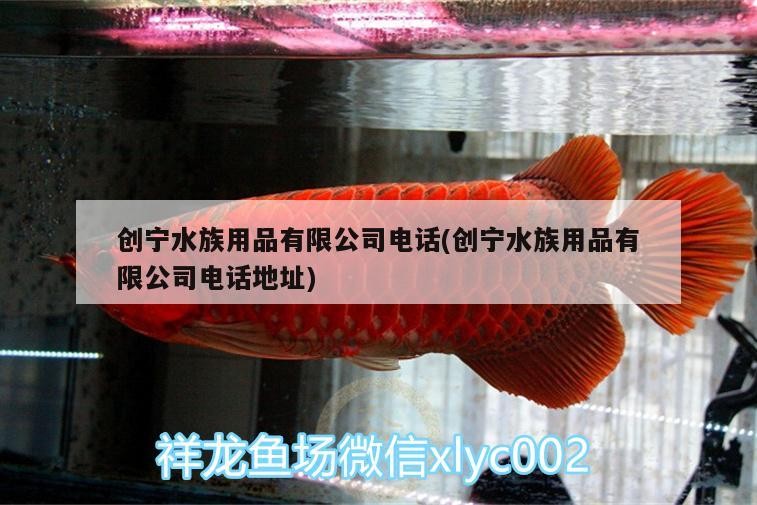 創(chuàng)寧水族用品有限公司電話(創(chuàng)寧水族用品有限公司電話地址)