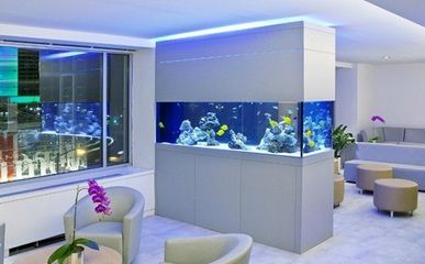 senagr魚缸官方網站：senagr是什么魚缸品牌