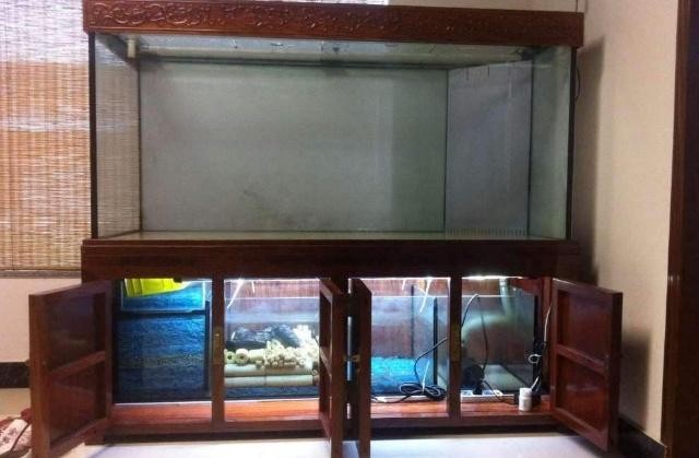 廣州國際觀賞魚展會地址電話