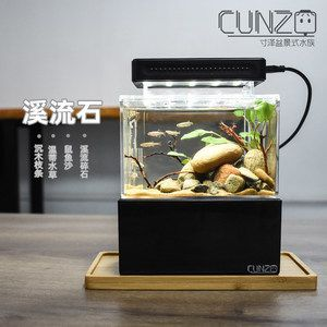 不需要打理的魚缸魚：不需要打理的魚缸 不需要打理的魚缸魚：不需要打理的魚缸 魚缸百科 第3張