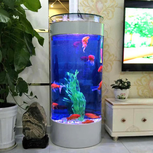 鞍山市鐵東區立霞水族館（鞍山立山魚市幾點關門） 鞍山市鐵東區立霞水族館（鞍山立山魚市幾點關門） 全國水族館企業名錄 第2張