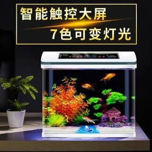 不用打理的魚缸：不用打理的魚缸是怎樣的？ 不用打理的魚缸：不用打理的魚缸是怎樣的？ 魚缸百科 第1張