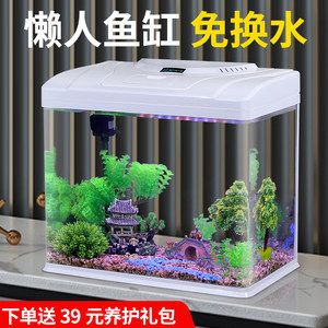 不用打理的魚缸：不用打理的魚缸是怎樣的？ 不用打理的魚缸：不用打理的魚缸是怎樣的？ 魚缸百科 第4張