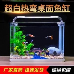 不用打理的魚缸：不用打理的魚缸是怎樣的？ 不用打理的魚缸：不用打理的魚缸是怎樣的？ 魚缸百科 第3張