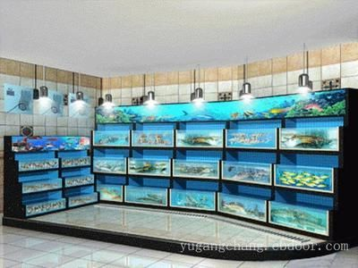 玻璃魚(yú)缸景觀效果圖：萊蕪市億燕水族景觀制作有限公司玻璃魚(yú)缸效果圖