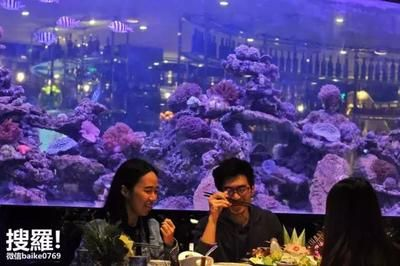 東莞水族館vs祥龍魚場（東莞水族館與祥龍魚場之間的區別）