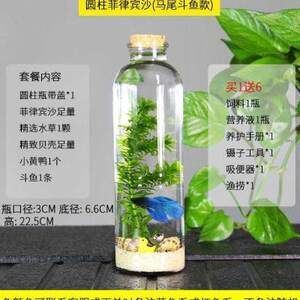 斗魚(yú)缸裝飾不能放什么植物：斗魚(yú)缸裝飾與水質(zhì)控制