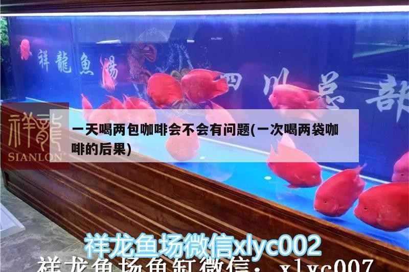 一天喝兩包咖啡會(huì)不會(huì)有問題(一次喝兩袋咖啡的后果)