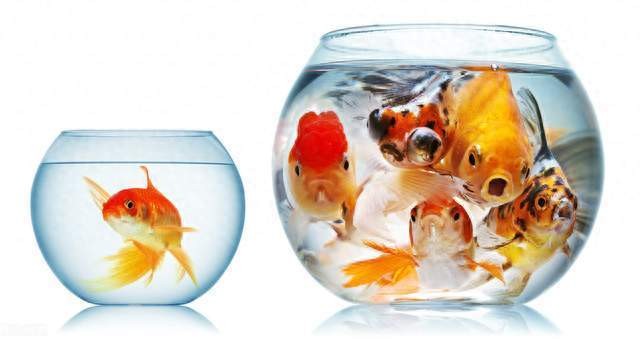 西安魚缸維修安裝師傅電話號碼