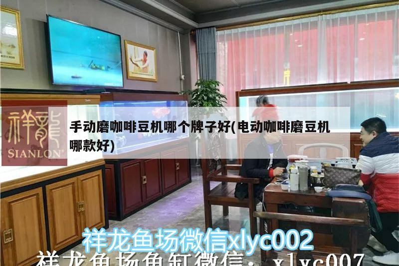 手動磨咖啡豆機哪個牌子好(電動咖啡磨豆機哪款好)