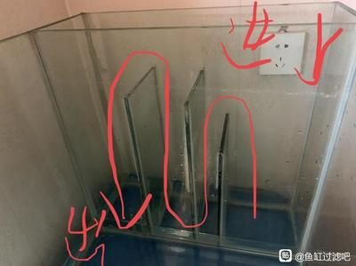 10cm魚(yú)缸過(guò)濾：10cm寬魚(yú)缸過(guò)濾系統(tǒng)推薦10cm寬魚(yú)缸過(guò)濾系統(tǒng)