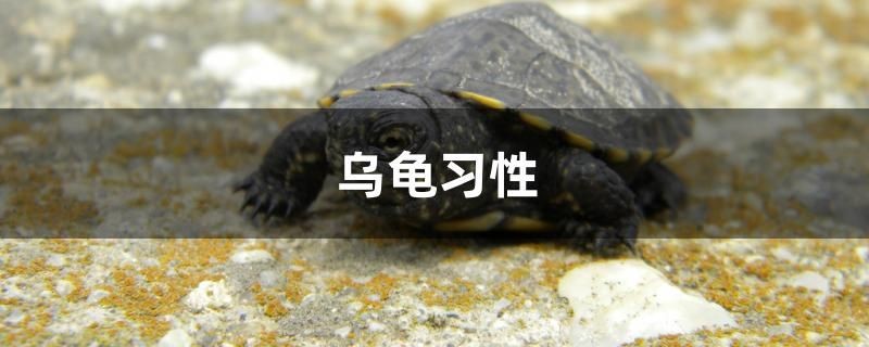 上海上門舊魚缸回收電話號碼 上海上門舊魚缸回收電話號碼多少 上海上門舊魚缸回收電話號碼 上海上門舊魚缸回收電話號碼多少 銀龍魚百科 第1張