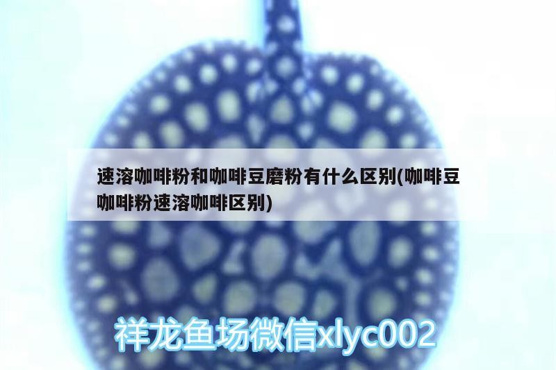 速溶咖啡粉和咖啡豆磨粉有什么區別(咖啡豆咖啡粉速溶咖啡區別)