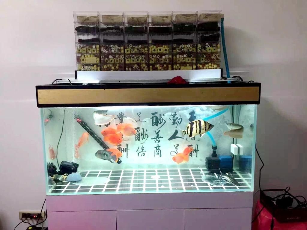 PVC水管制作魚缸上濾：pvc水管制作魚缸上濾的方法