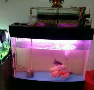PVC水管制作魚缸上濾：pvc水管制作魚缸上濾的方法