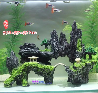 桂魚魚缸養幾條合適呢