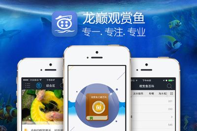 觀賞魚app有哪些（與觀賞魚app相關的推薦：與觀賞魚app相關的推薦） 觀賞魚app有哪些（與觀賞魚app相關的推薦：與觀賞魚app相關的推薦） 馬來西亞咖啡 第1張