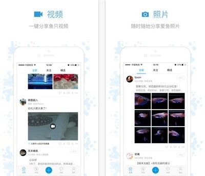 觀賞魚app有哪些（與觀賞魚app相關的推薦：與觀賞魚app相關的推薦） 觀賞魚app有哪些（與觀賞魚app相關的推薦：與觀賞魚app相關的推薦） 馬來西亞咖啡 第2張