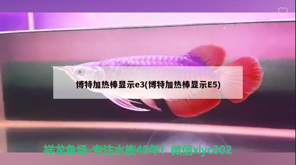 博特加熱棒顯示e3(博特加熱棒顯示E5) 博特加熱棒顯示e3(博特加熱棒顯示E5) 博特水族