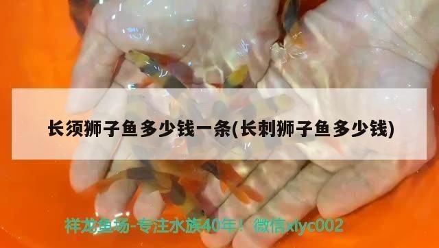 龍魚身上長刺是什么情況vs祥龍魚場：\"龍魚身上長刺\"是什么情況vs祥龍魚場 龍魚身上長刺是什么情況vs祥龍魚場：\"龍魚身上長刺\"是什么情況vs祥龍魚場 vs祥龍魚場 第5張