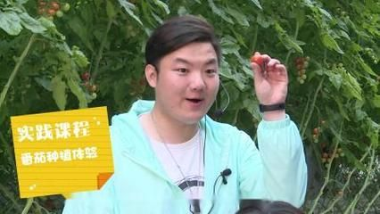 森森老師個人資料 森森老師個人資料 森森魚缸