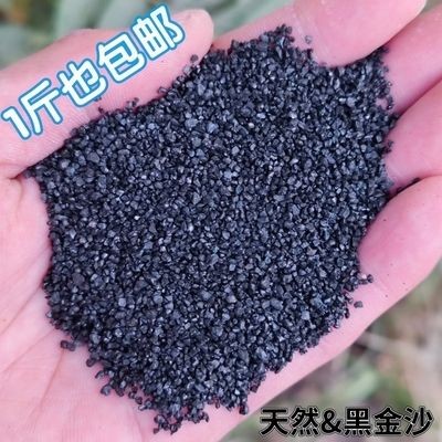 虎魚黑沙什么樣好養：虎魚與黑沙的搭配可以提供一個既美觀又能滿足虎魚生活習性的理想環境