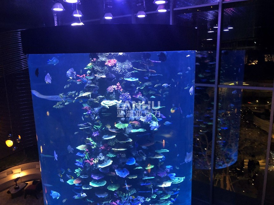 超大魚缸清洗方法視頻：魚缸如何清洗？