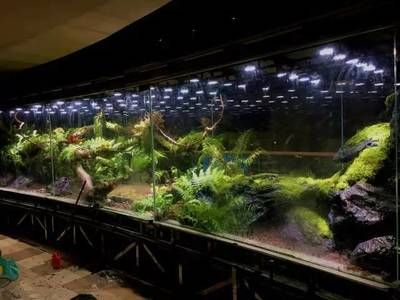 1.5米×0.7米魚缸：1.5米×0.7米的魚缸重量、容量以及相關的價格和建議