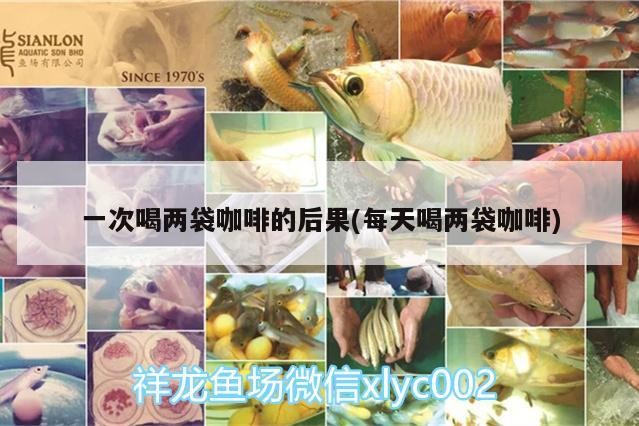 一次喝兩袋咖啡的后果(每天喝兩袋咖啡) 一次喝兩袋咖啡的后果(每天喝兩袋咖啡) 馬來西亞咖啡