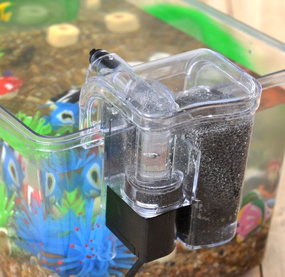 紅龍魚用黃燈烤有用嗎 博特水泵顯示err如何解決(博特水泵出現e02怎么回事?) 博特水族 博特水泵顯示err如何解決(博特水泵出現e02怎么回事?) 博特水泵顯示err如何解決(博特水泵出現e02怎么回事?) 博特水族