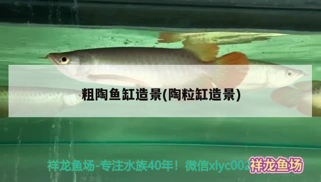 粗陶魚缸造景(陶粒缸造景)
