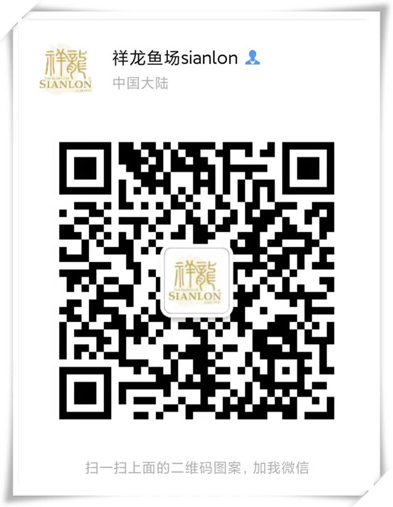 銅仁水族館濾材這樣擺放行么