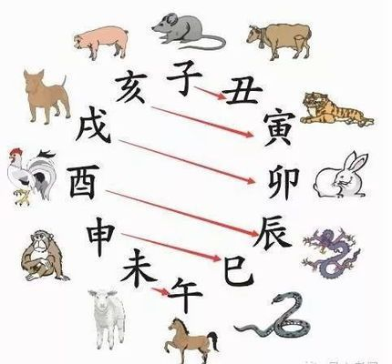 森森小鯉過濾桶出水少 森森小鯉過濾桶出水少 森森魚缸