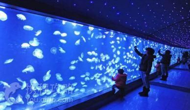 銅陵水族館vs祥龍魚場（銅陵水族館可能涉及觀賞魚的銷售和展示活動，銅陵水族館可能有白點）