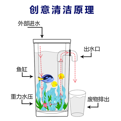 銀川市興慶區張阿文水族（銀川市興慶區張阿文水族館地址）
