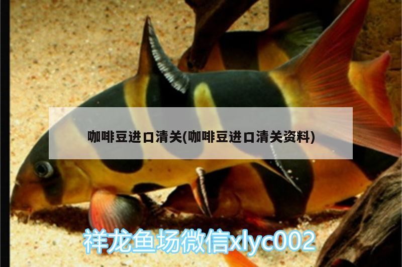 咖啡豆進(jìn)口清關(guān)(咖啡豆進(jìn)口清關(guān)資料)