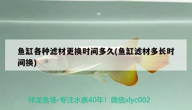 魚缸各種濾材更換時間多久(魚缸濾材多長時間換) 魚缸各種濾材更換時間多久(魚缸濾材多長時間換) 魟魚百科