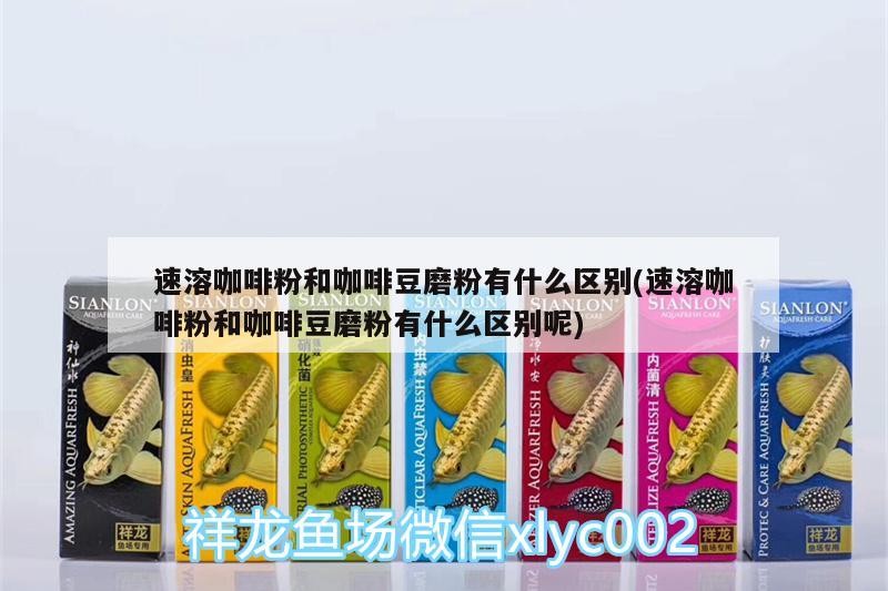 速溶咖啡粉和咖啡豆磨粉有什么區別(速溶咖啡粉和咖啡豆磨粉有什么區別呢)