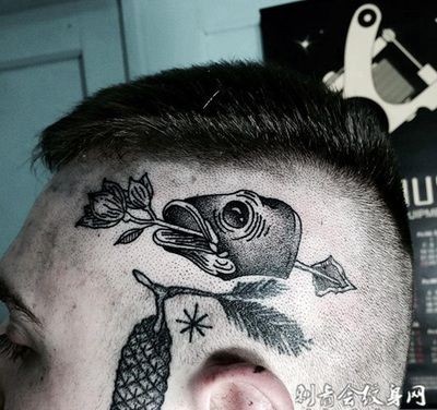 與銀龍魚混養(yǎng)的魚 與銀龍魚混養(yǎng)的魚 龍魚百科 第1張
