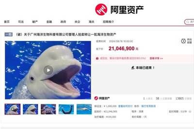 阿里水族館vs祥龍魚場（探討阿里水族館與祥龍魚場之間的對比之前需要明確兩者的基本信息）