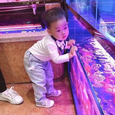 阿里水族館vs祥龍魚場（探討阿里水族館與祥龍魚場之間的對比之前需要明確兩者的基本信息）