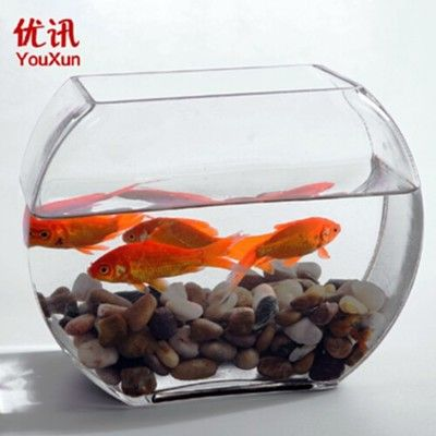 玻璃魚(yú)缸有蓋嗎？：玻璃魚(yú)缸是否需要配備蓋子