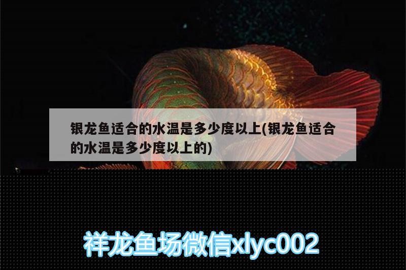 銀龍魚適合的水溫是多少度以上(銀龍魚適合的水溫是多少度以上的)