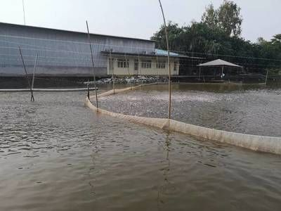 龍魚用什么維生素好vs祥龍魚場：龍魚場推薦的各類維生素對龍魚的健康飼養(yǎng)提供科學(xué)依據(jù) 龍魚用什么維生素好vs祥龍魚場：龍魚場推薦的各類維生素對龍魚的健康飼養(yǎng)提供科學(xué)依據(jù) vs祥龍魚場 第1張