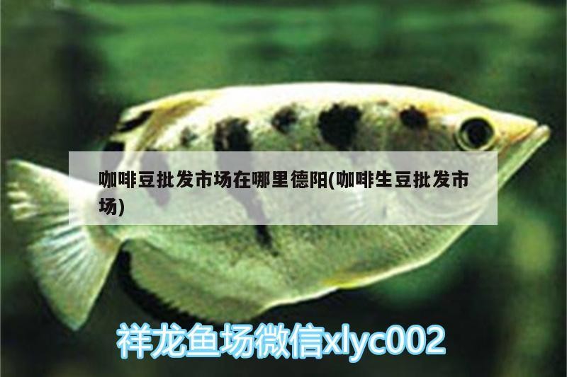 咖啡豆批發市場在哪里德陽(咖啡生豆批發市場) 咖啡豆批發市場在哪里德陽(咖啡生豆批發市場) 馬來西亞咖啡