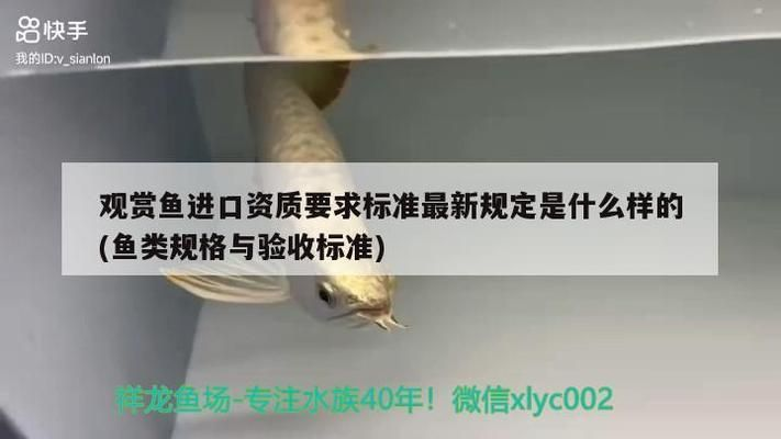 龍魚檢疫需要多長時間完成呢vs祥龍魚場：龍魚檢疫需要多長時間完成vs祥龍魚場的直接答案