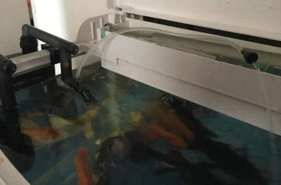 南京大型魚缸定制大概要多少錢一個小時價格