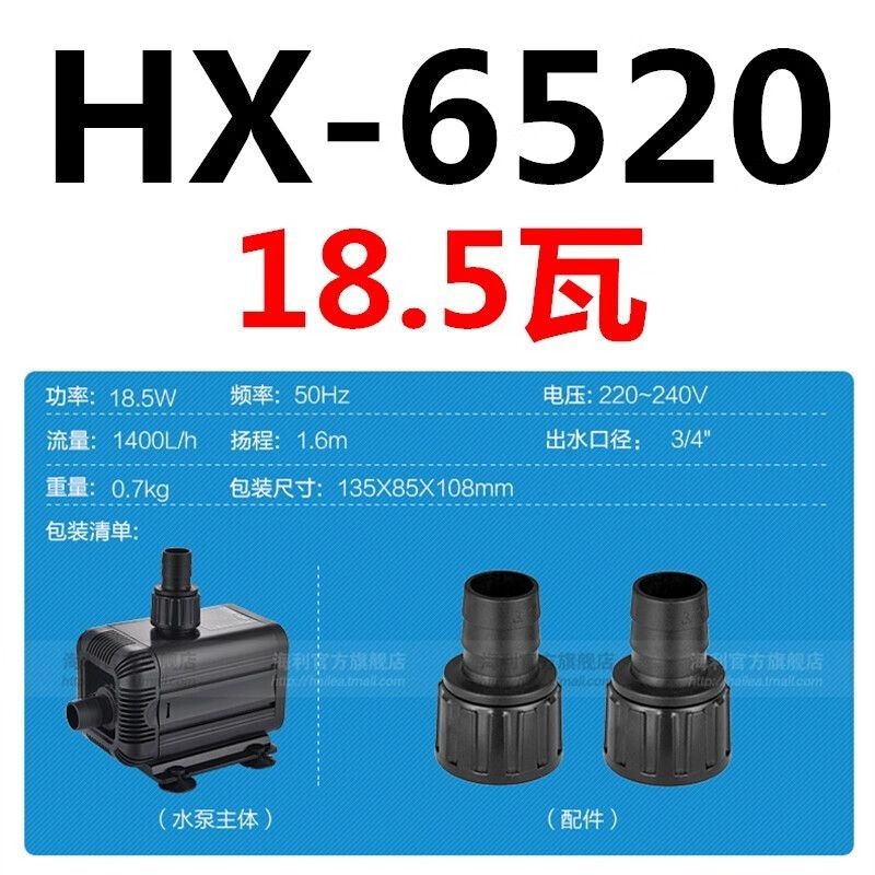 50的魚缸多大流量：魚缸養(yǎng)魚的注意事項(xiàng)