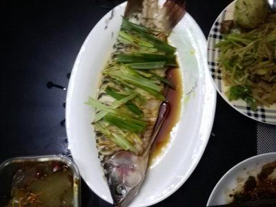 清蒸紅龍魚:清蒸紅龍魚的做法 紅龍魚百科 第5張 清蒸紅龍魚:清蒸紅龍魚的做法 清蒸紅龍魚:清蒸紅龍魚的做法 紅龍魚百科 第5張